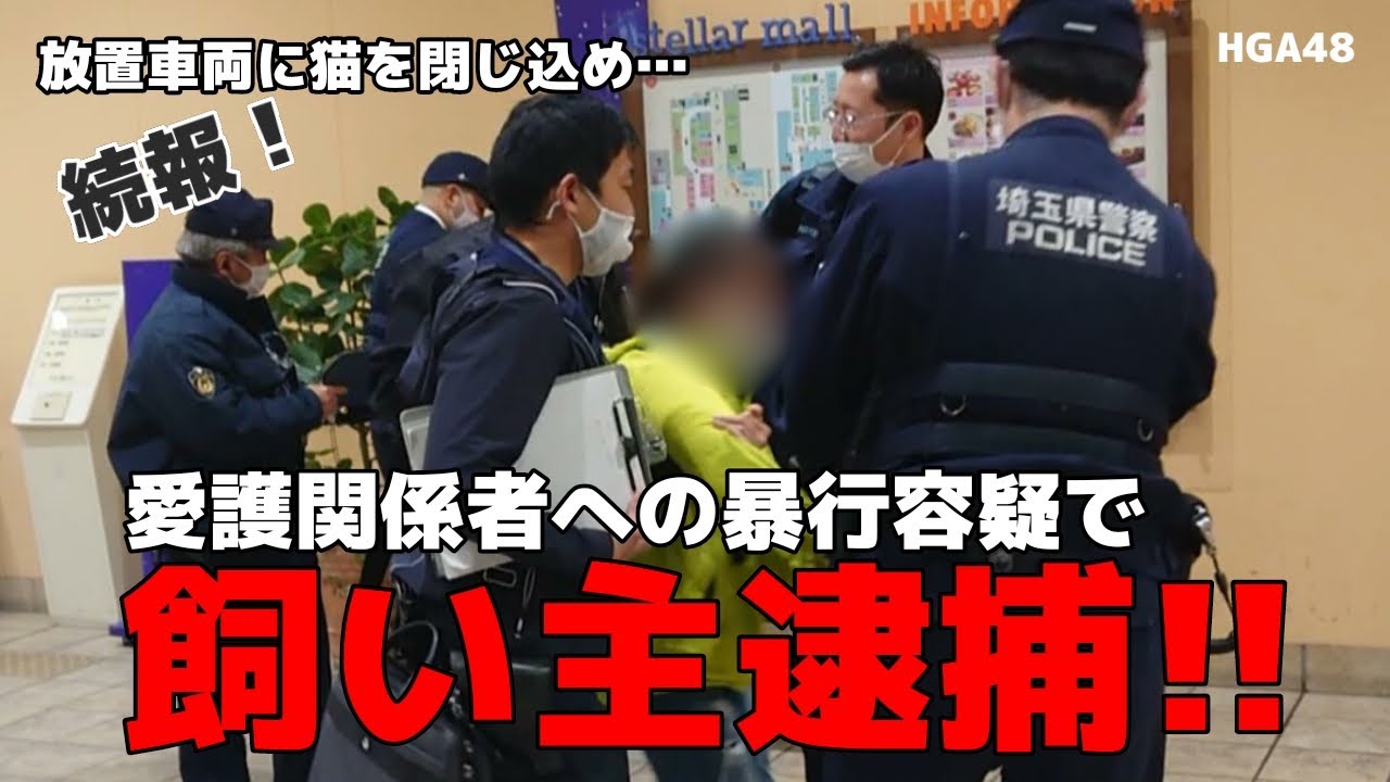 続報 放置車両で猫を虐待飼育 動物愛護関係者への暴行容疑で飼い主逮捕 Japan Xanh 続報 放置車両で猫を虐待飼育 動物愛護関係者への暴行容疑で飼い主逮捕 Japan Xanh