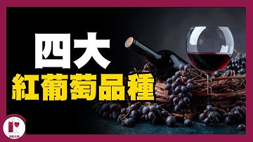 【品酒技巧】四款必須認識的紅葡萄品種,讓你看起來像葡萄酒專家|葡萄酒入門 | 葡萄酒知識 | 認識它們,就認識全世界一半的葡萄酒風格|全球廣泛種植的葡萄酒品種(紅葡萄篇) (粵語中字) 【酒瓶故事】