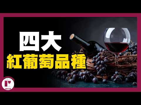 【品酒技巧】四款必須認識的紅葡萄品種，讓你看起來像葡萄酒專家｜葡萄酒入門 | 葡萄酒知識 | 認識它們，就認識全世界一半的葡萄酒風格｜全球廣泛種植的葡萄酒品種（紅葡萄篇） (粵語中字) 【酒瓶故事】