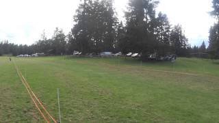WWHA NAWRA  at Roy, WA May 24, 2014 Program 4 -- Whippet by James Johannes 3 views 9 years ago 33 seconds
