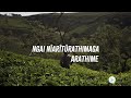 Ngai Niariturathimaga Lyrics Video