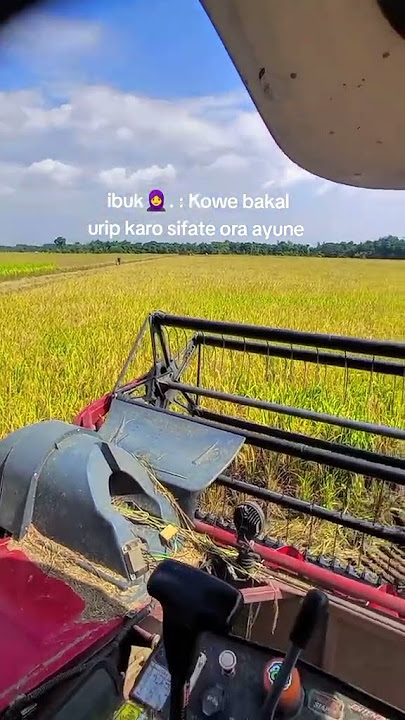 MAXXI || #automobile #maxxibimoterbaru #combineharvester #maxxibimo102standar #combinepadi #sawah