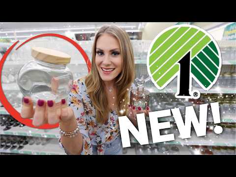 🔥 10 NEW Dollar Tree Organizers + HACKS you need!🔥