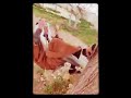 حالات وتساب غزل السلامة ماترحمو العزابي نايم عل كنباية