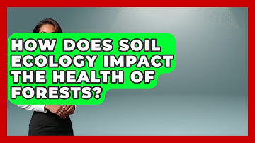 How Does Soil Ecology Impact the Health of Forests? | Explaining Ecology News