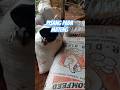 gimana inih ketua #viral #pisang