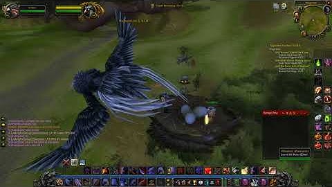 World of Warcraft Burning Crusade Classic Bring Me The Egg Windroc Matriarch