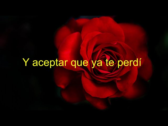 YouTubeでTe tengo que olvidar      Industria del amorを視聴 YouTubeでTe tengo que olvidar      Industria del amorを視聴