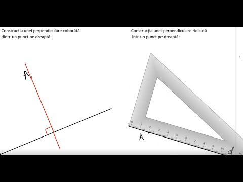 Video: Cum Se Găsește Un Punct Pe O Linie Dreaptă