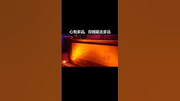 EASY INSTALL Motion Activated Stair Lights