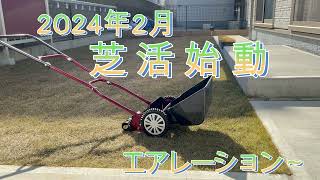 芝活始動　2024年の更新作業 エアレーションからのつづき