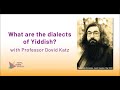 WHAT ARE THE DIALECTS OF YIDDISH? with Prof Dovid Katz (UK)