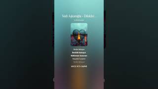 Vedi Aşkaroğlu - Dilekler Diledim Içimde Sen Vardın