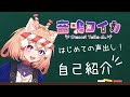 【自己紹介】【初声出し】はじめまして音鳴ヨイカです!【新人Vtuber】