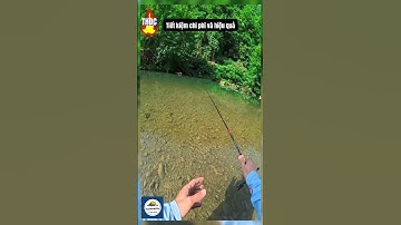 Combo cần câu lure cá suối đầy đủ phụ kiện #taphoadocau #fishing #fishinglife #dammecauca #cauca