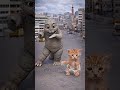 Minilla Cat Dance #minilla #minya #catdance #ミニラ #猫ダンス