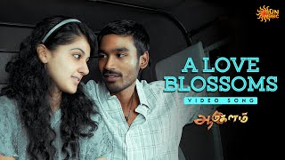 A Love Blossoms - 4K Video Song Aadukalam Dhh G. V. Prakash Kumar Sun Music