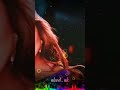 مافي نوم بعد اليوم ما في نوم مافي نوم بعد اليوم ما في نوم