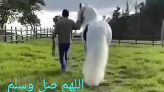 اللهم صل وسلم وبارك على نبينا وحبيبنا محمد