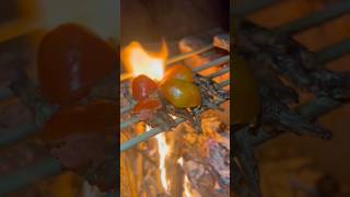 Ultimate Outdoor Cooking Experience! 🪵🔥 #survivalskills #nature #cooking #reels #viral