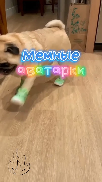 😅Мемные Аватарки для соцсетей ️ #аватарки #активвернись #рекомендации # ...