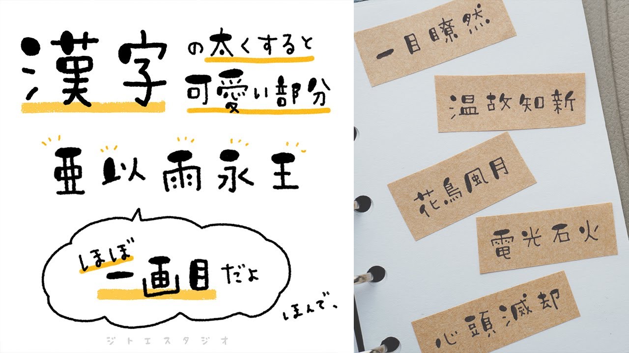 活動歴および当時の関連ビジュアル記録