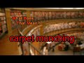 What does carpet munching mean?