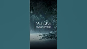 سورة الأنفال  الآية 65 بصوت القارئ محمد الفقيه