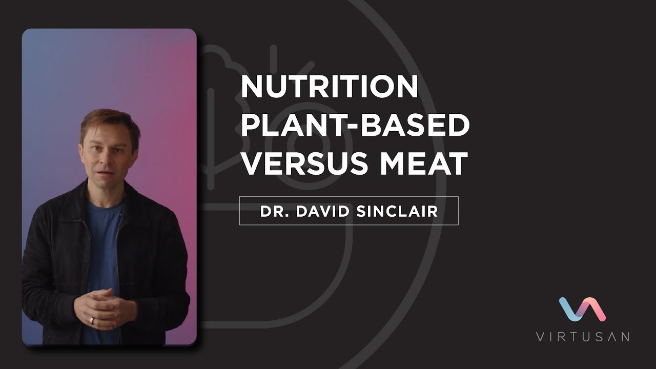 Plant based Vs Meat Based Nutrition By Dr David Sinclair YouTube plant-based-vs-meat-based-nutrition-by-dr-david-sinclair-youtube