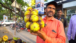 Nashik Man Selling Healthy Tadgola Fruit Rs. 20/- Only l Nashik Street Food