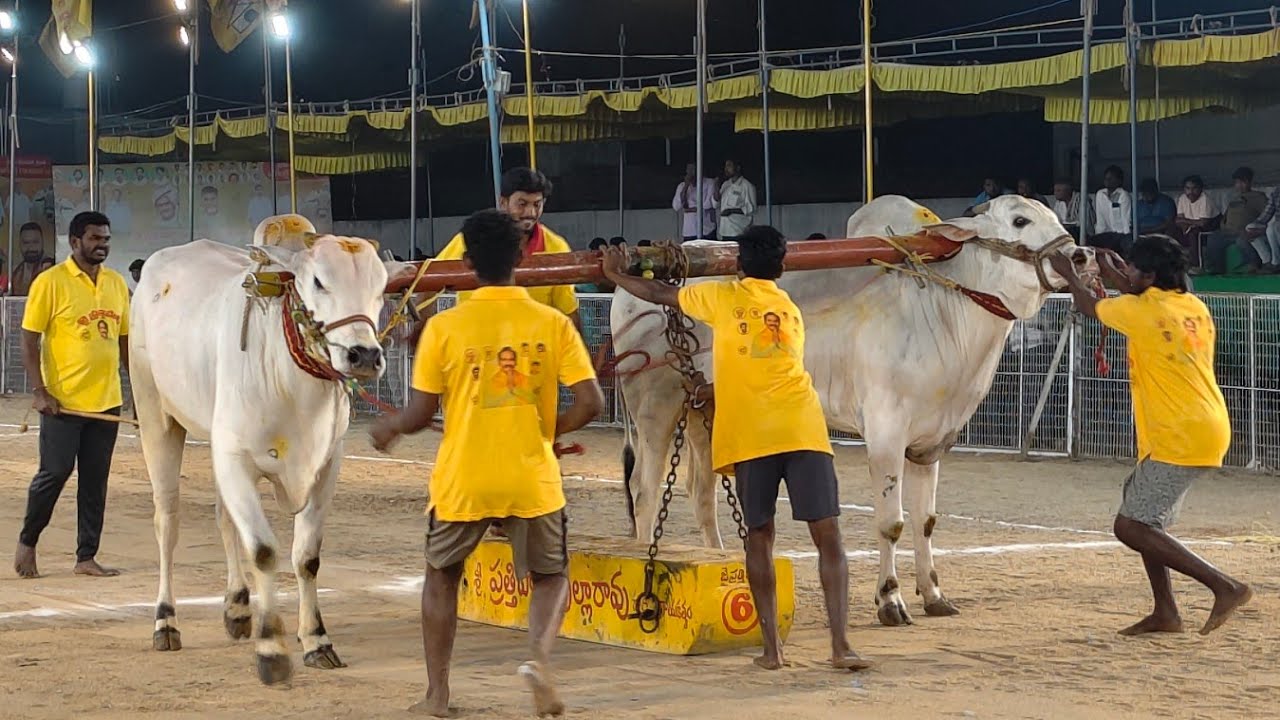 2026-చిలకలూరిపేట.4పళ్ళు.8వ జత.బుల్లికోటయ్య మెమోరియల్ బల్లిపర్రు కంబైన్డ్ నల్లూరి నరసింగరావు అబ్బాపుర