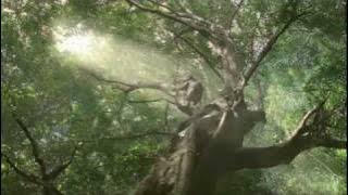 YouTube - LG 2010 TV Advert.flv