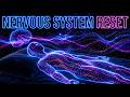 Fall Asleep Fast | Calm Your Nervous System 432Hz Deep Sleep Ambient