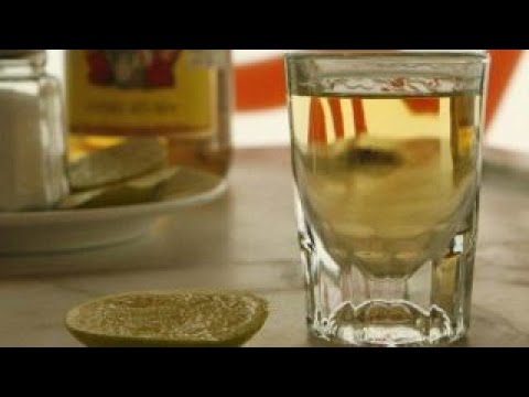 'The Fox News Specialists' Celebrate National Tequila Day