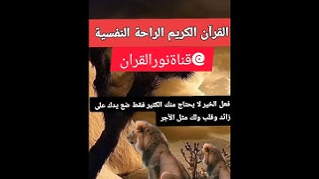 قال إني عبد الله آتاني الكتاب وجعلني نبيا |سورةمريم |عبد الباسط عبد الصمد
