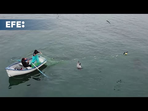 Peru defends the compatibility of industrial fishing with marine protected areas