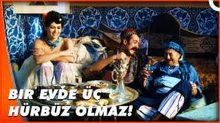 Kocalar Karşı Karşıya Geliyor | Yedi Kocalı Hürbüz