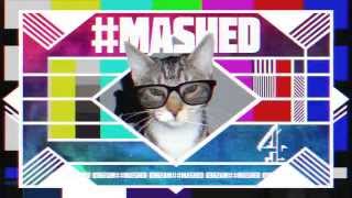 Celebrity This is Mashed | MASHED Wealth