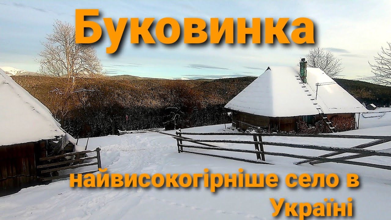 Присілок Буковинка на Закарпатті вважають найвисокогірнішим населеним пунктом в Україні.