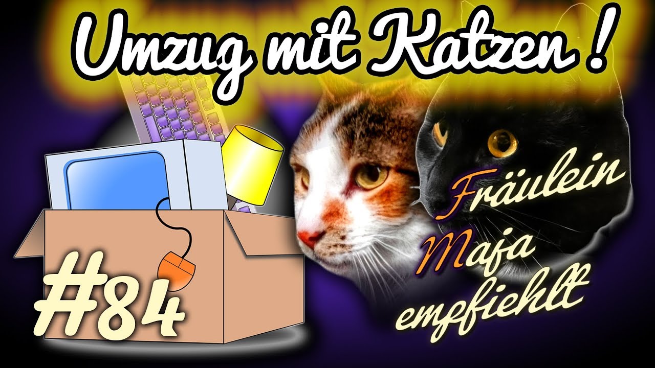 Umzug mit Katze stressfrei gestalten-Checkliste. Fräulein Maja empfiehlt Teil 84