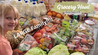 Come GROCERY SHOPPING with me for my BIG FAMILY!!