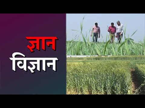 वीडियो: बाजार में नवाचार का प्रसार