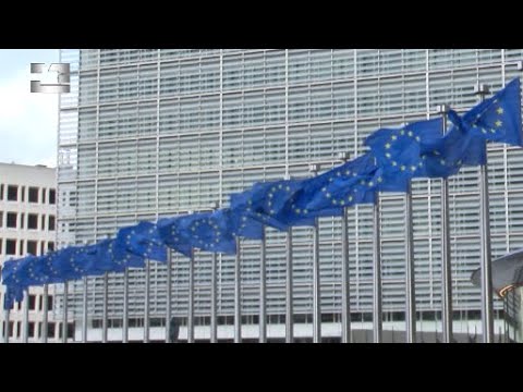 „მთელი საარჩევნო კამპანიის პერიოდში,  ბრალდებები საფუძვლიანად უნდა გამოიძიოთ“ - ევროპარლამენტარები