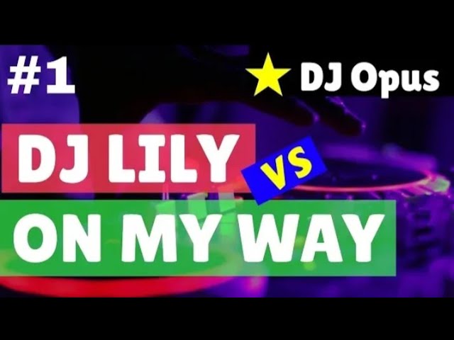 DJ LILY ALAN WALKER VS ON MY WAY REMIX TERBARU ORIGINAL 2019 class=