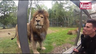 Thoiry : Un safari au parc