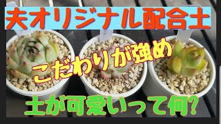 【検証動画】夫流オリジナル配合土を作りました!!