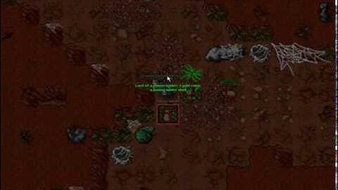 Tibia rookgaard history