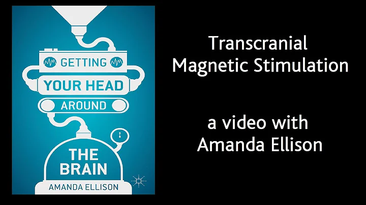 Transcranial Magnetic Stimulation - Amanda Ellison...