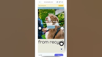 Stop Scrolling—Shopify Owners Need You Here