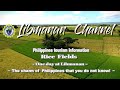 - Rice Fields ~ One day at Libmanan ~ - Philippines, Libmanan,Travel,Palm tree,drone,Aerial,熊本,ドローン